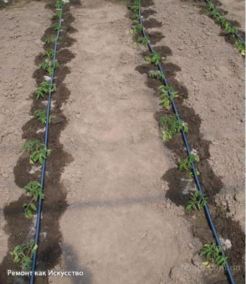 Как сделать простейший капельный полив из бочки? 05 Как сделать простейший капельный полив из бочки? 05