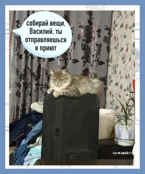 Все о дизайне интерьера. 05