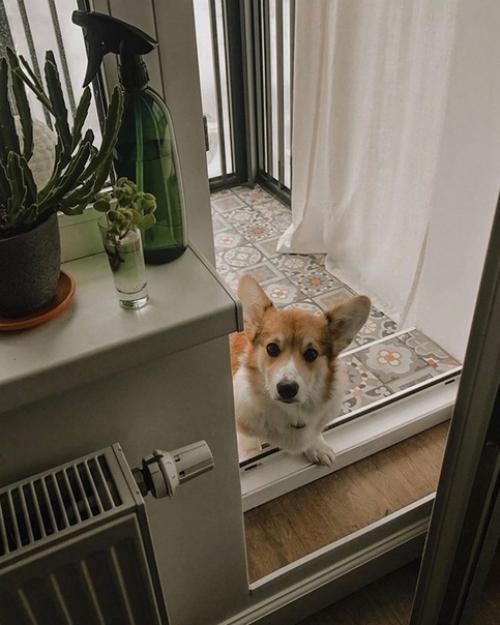 Наш балкон после ремонта. 07