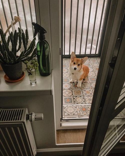 Наш балкон после ремонта. 06