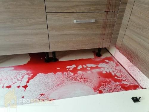 Вот как выглядела наша кухня после того, как мы поставили размораживаться малину и забыли про неё. 01