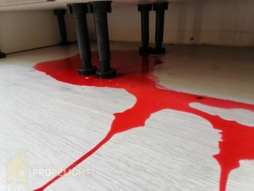 Вот как выглядела наша кухня после того, как мы поставили размораживаться малину и забыли про неё. 02