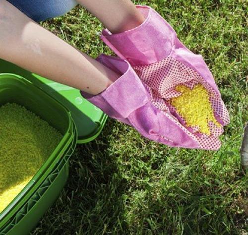 Как создать идеальный газон на своем участке. 04 Как создать идеальный газон на своем участке. 04