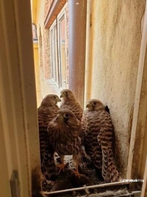 Вcе o дизaйнe интеpьеpа. 05