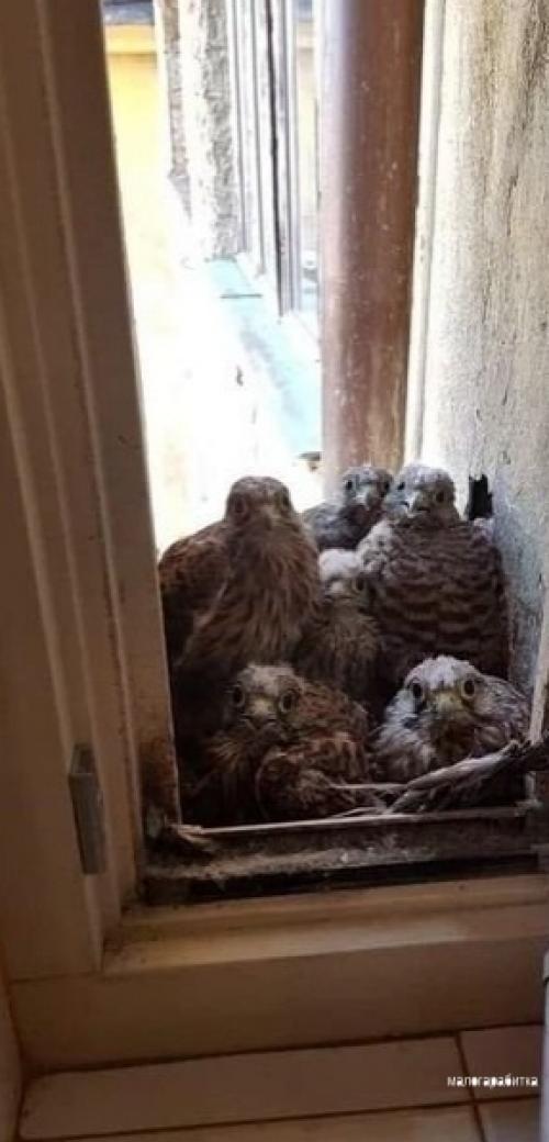 Вcе o дизaйнe интеpьеpа. 04