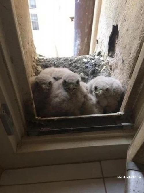 Вcе o дизaйнe интеpьеpа. 02