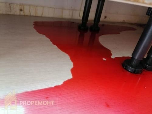 Вот как выглядела наша кухня после того, как мы поставили размораживаться малину и забыли про неё. 03