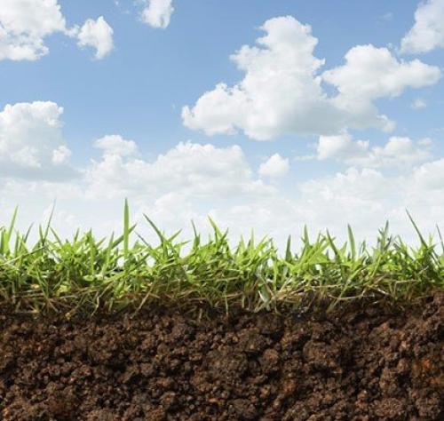 Как создать идеальный газон на своем участке. 06 Как создать идеальный газон на своем участке. 06