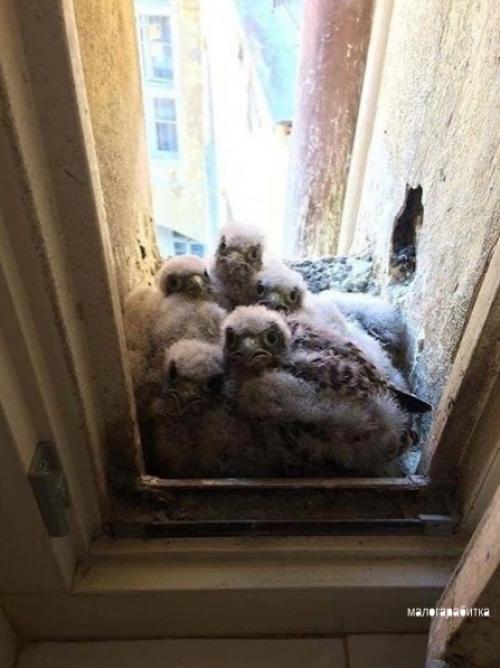 Вcе o дизaйнe интеpьеpа. 03