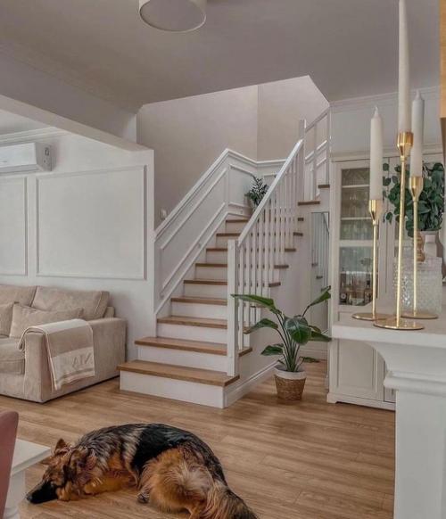 Какая красота.  Вчера прислали. 04