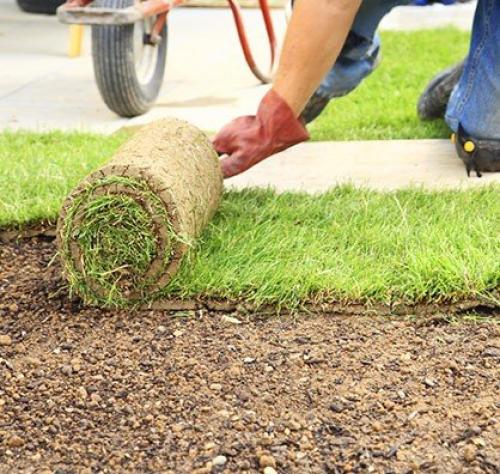 Как создать идеальный газон на своем участке. 03 Как создать идеальный газон на своем участке. 03