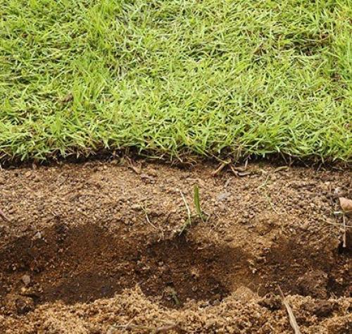 Как создать идеальный газон на своем участке. 05 Как создать идеальный газон на своем участке. 05