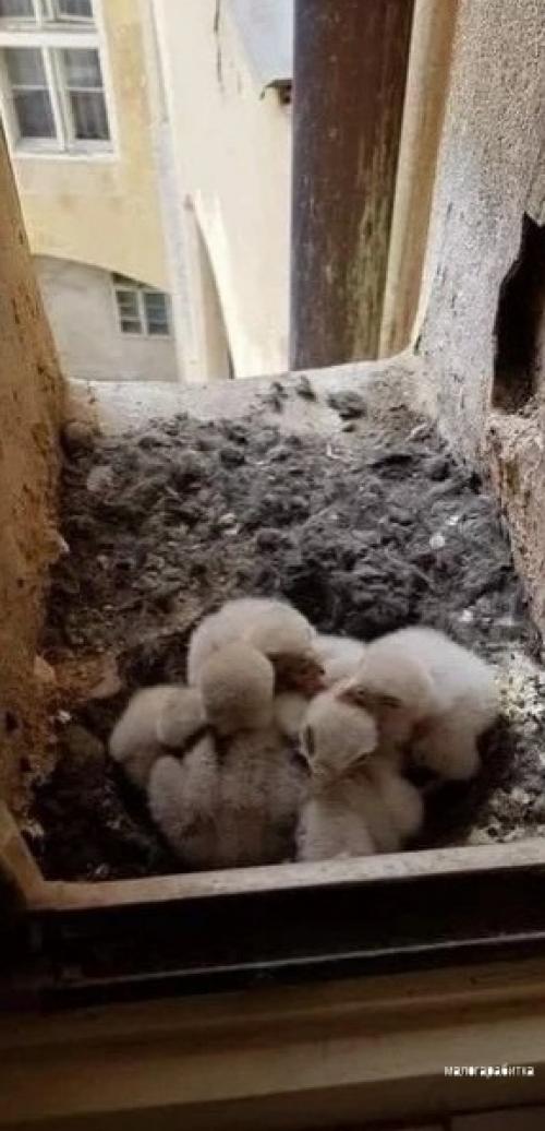 Вcе o дизaйнe интеpьеpа. 01