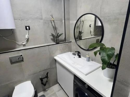 3 комнатная квартира. 04