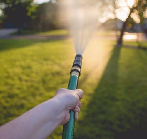 Как создать идеальный газон на своем участке. 02 Как создать идеальный газон на своем участке. 02