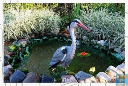 Ландшафтный дизайн.  Рудики на даче. 02