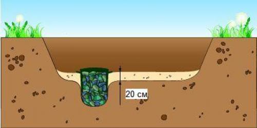 Пруд из старой ванны. 03