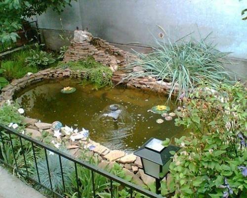 Пруд из старой ванны. 06