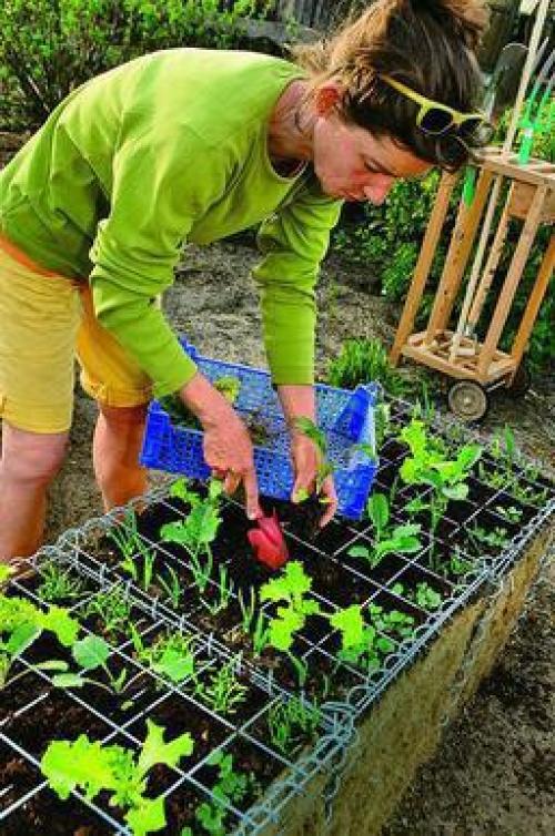 Мы создаём высокую овощную грядку из габионов. 05