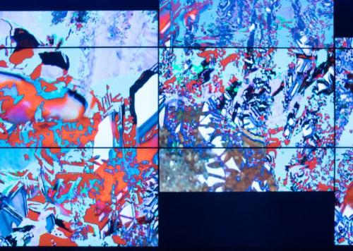 Эрмитаж, музей академии Штиглица и анненкирхе примут один из крупнейших фестивалей медиаискусства. 01 Эрмитаж, музей академии Штиглица и анненкирхе примут один из крупнейших фестивалей медиаискусства. 01