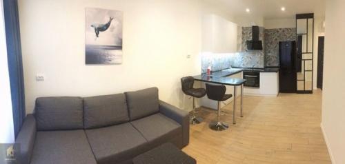 Стильный ремонт кухни - гостиной 25 кв. 01