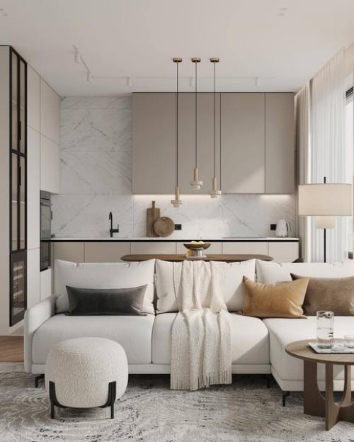 В данном проекте объединили кухню с гостиной, продумали спальную комнату и место для будущей детской комнаты. 01