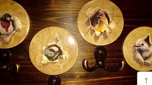 Все в дело!   - Именно под таким девизом, на мой взгляд, живет каждый рачительный хозяин! 08 Все в дело!   - Именно под таким девизом, на мой взгляд, живет каждый рачительный хозяин! 08