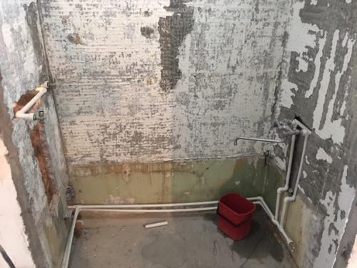 У многих видел такую плитку, на оценку такой вариант. 02