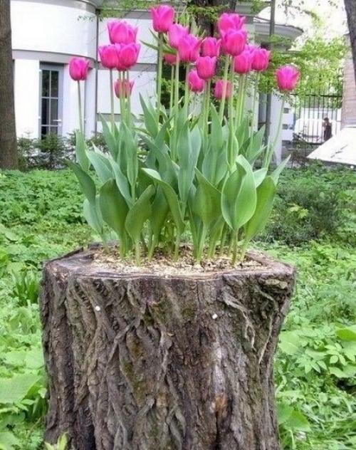 Идеи по использованию пней в декоре сада. 03 Идеи по использованию пней в декоре сада. 03
