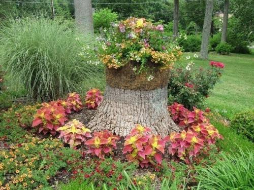 Идеи по использованию пней в декоре сада. 04 Идеи по использованию пней в декоре сада. 04