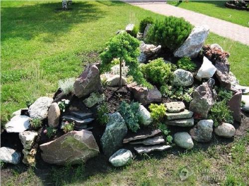 Правила по созданию альпинария на дачном участке. 08