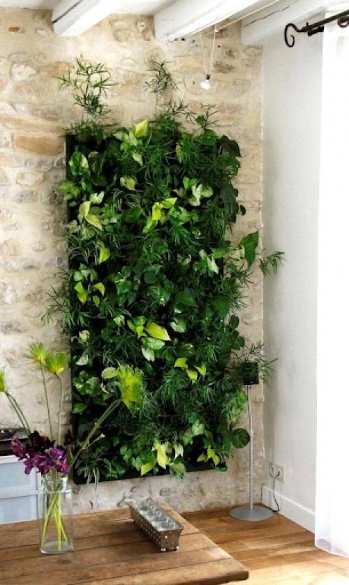 Пандемия и всеобщий карантин показали, что многим гораздо комфортнее находиться в пространстве с растениями. 07