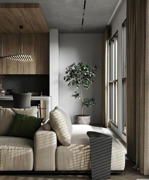 Кухня - гостиная.  Современный дизайн. 01