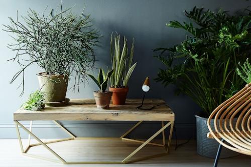 Пандемия и всеобщий карантин показали, что многим гораздо комфортнее находиться в пространстве с растениями. 09