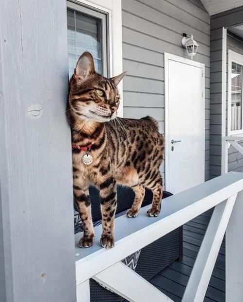 Небольшой, красивый домик. 07