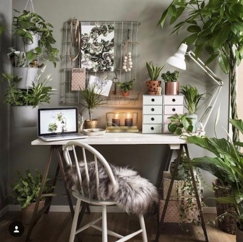 Пандемия и всеобщий карантин показали, что многим гораздо комфортнее находиться в пространстве с растениями. 02