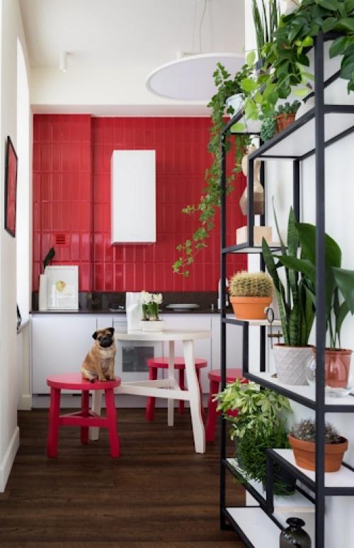 Пандемия и всеобщий карантин показали, что многим гораздо комфортнее находиться в пространстве с растениями. 03