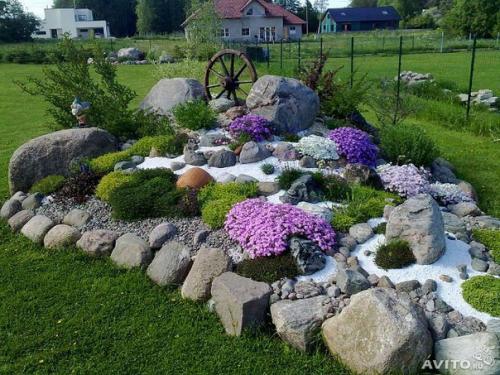 Мы создаем на участке альпийскую Горку? 05