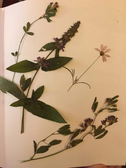 Доброго времени суток, уважаемые одногруппники! 03 Доброго времени суток, уважаемые одногруппники! 03