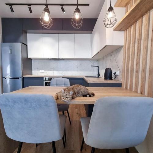 Можем показать вот такую кухню. 08