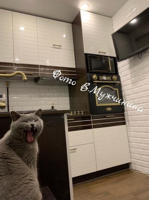 СПб.  Мои 5 квадратных метров! 04