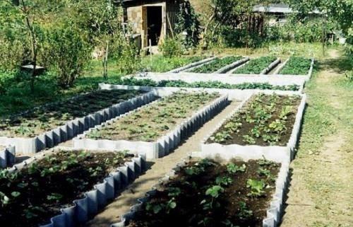 10 вариантов обустройства огорода. 04 10 вариантов обустройства огорода. 04