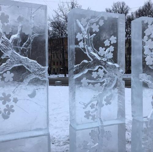 Перед Манежем выросла ледяная сакура. 02