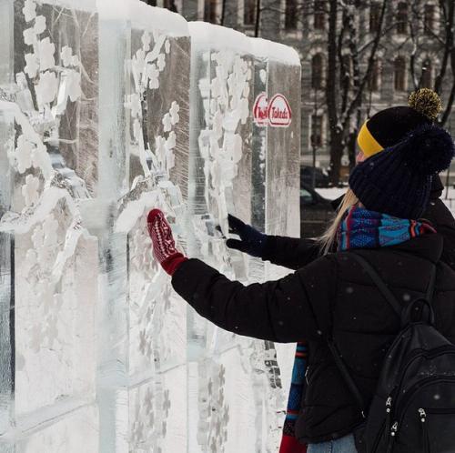 Перед Манежем выросла ледяная сакура. 01