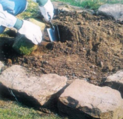 Обустройство альпинария.   Альпинарий собой миниатюрный фрагмент горного ландшафта представляет. 03