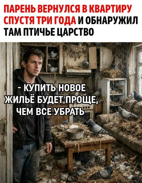 Житель Воркуты на собственном опыте узнал, что природа не терпит пустоты, особенно если в квартире оставлена открытая форточка.  