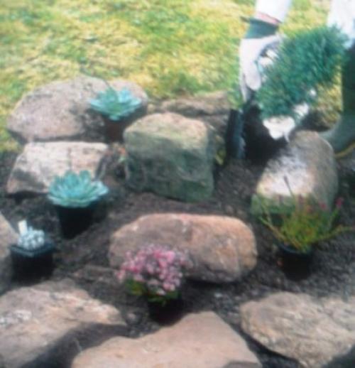 Обустройство альпинария.   Альпинарий собой миниатюрный фрагмент горного ландшафта представляет. 05