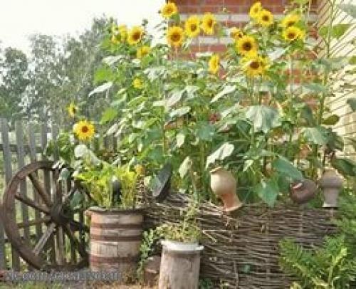 Плетеные оградки для клумб. 06