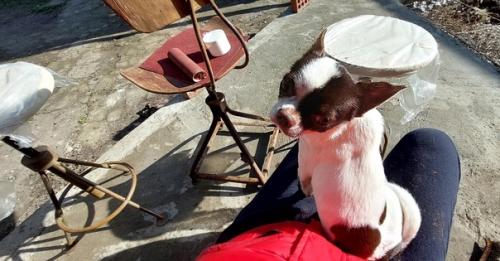 Всем рестовчанам привет. 04