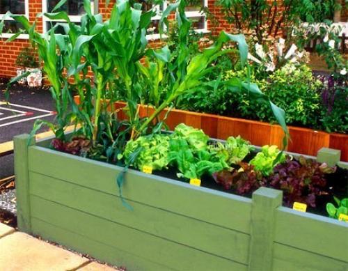 Красивый огород своими руками - как сделать красивые грядки! 02 Красивый огород своими руками - как сделать красивые грядки! 02